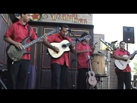 TINKU ~ Vibrant Rhythms