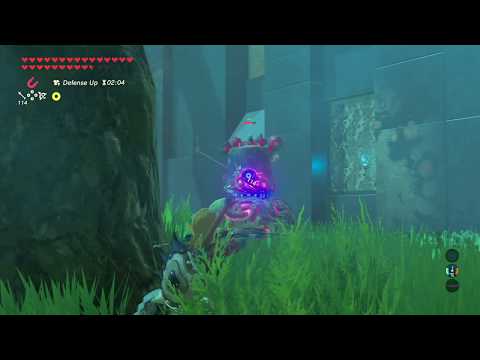 Breath of the Wild - Final Trials - Floor 19