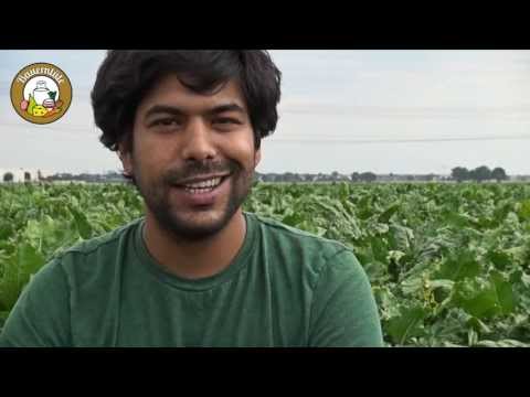 Bauerntüte - Erklärung