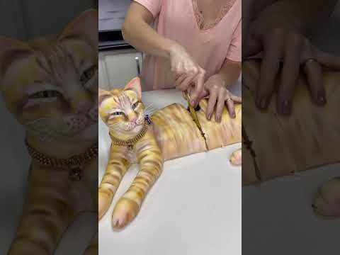 O dia que o Romeu virou bolo. 🐈 #cat #cakeorfake #viral