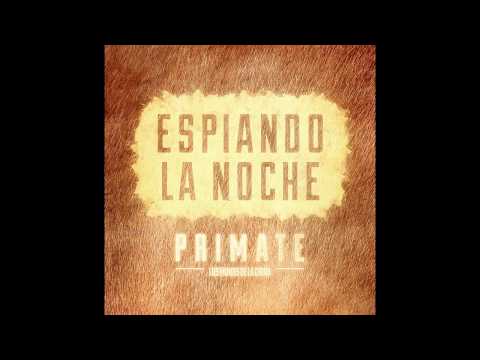 Espiando la noche - Los Monos de la China (Primate)