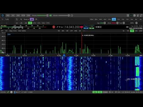 CQ World Wide WPX Contest CW 2022