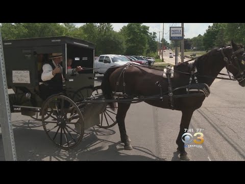 Amish Uber: Man Uses Horse And Buggy To Give Customers A Lift