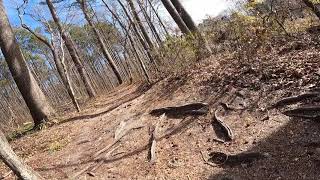 They did a great job working with the space available as this is a hidden gem in the middle of city hustle and bustle