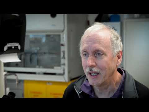 UNBC talk reveals biodiversity discovery in the Ancient Forest