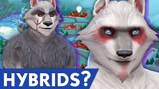 HYBRIDS, ABILITIES, FATED MATES, TEMPERMENTS & MORE | SIMS 4 WEREWOLF NEWS