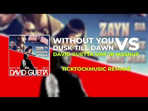 Without You vs Dusk Till Dawn (David Guetta UMF 18 Mashup)