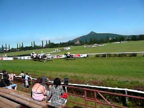 Dostihy Mimoň 20.8.