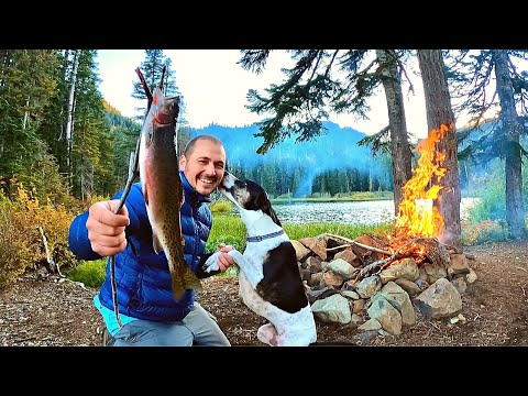 SOLO Mountain SURVIVAL with my Dog!!! No Food, No Water! Fishing & Foraging | 4K