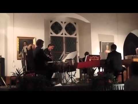 Hassler-Consort, Franz Raml, Feuerwerksmusik Bluval 2011