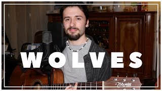 Selena Gomez - Wolves (Guitar Cover)