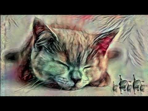 MortyBeats- 308 BPM Stavaj Hovedo ! BeaT (not completed)