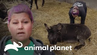 Thumbnail del capítulo