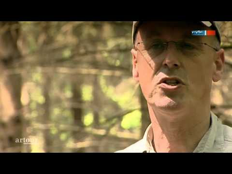 Video-Thumbnail von YouTube