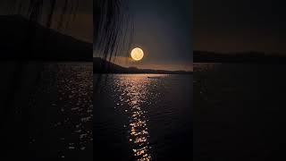 Download lagu Pemandangan Bulan Di Malam Hari #shorts #pemandanganalam #pemandanganlaut mp3 Download lagu Pemandangan Bulan Di Malam Hari #shorts #pemandanganalam #pemandanganlaut mp3