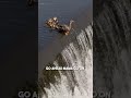 This Duckling Fell Down A Waterfall So Its Mom Did This ️