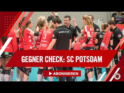 DSC Volley | Dresdner SC vs. SC Potsdam - Der Check mit Alexander Waibl