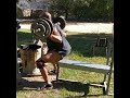 box squats