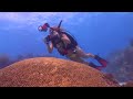 Where To Dive In The Florida Keys Key West