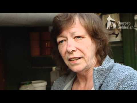 Duiven van geluk - Gelderse Koppen 12 mei 2012 - Winterswijk