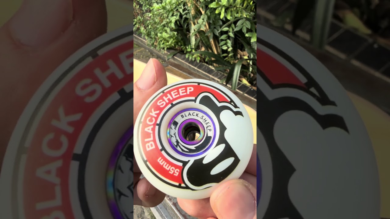 Rolamento Black Sheep Pro XP - Alta Performance Importado