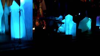 Animal Collective- Brother Sport at Prospect Park