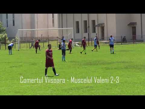 rezumat Comertul Viisoara   Muscelul Valeni 2 3