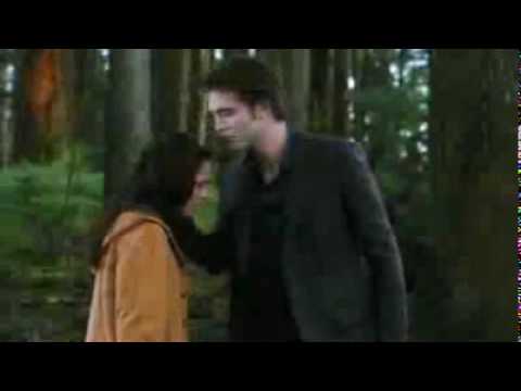 hamesha-entity paradigm