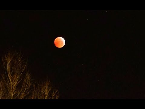 Holdfogyatkozás 2019.01.21. Budapest - Lunar Eclipse and Moon Set - Time lapse