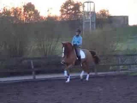 cabochon * apolonios take 2