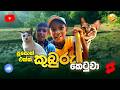 පූසොත් එක්ක කුබුරු කෙටුලා වෙච්ච දේ Village