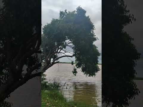 O Rio Paraíba em São João da Barra. #avançodomardeatafona