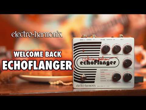 Limited Edition Electro Harmonix Adrian Belew Echoflanger Pedal image 6