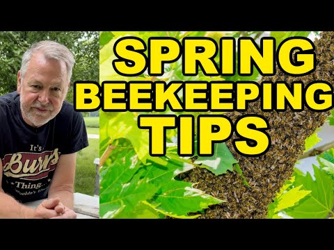 Beekeeping Tips For SPRING 🐝 🌺