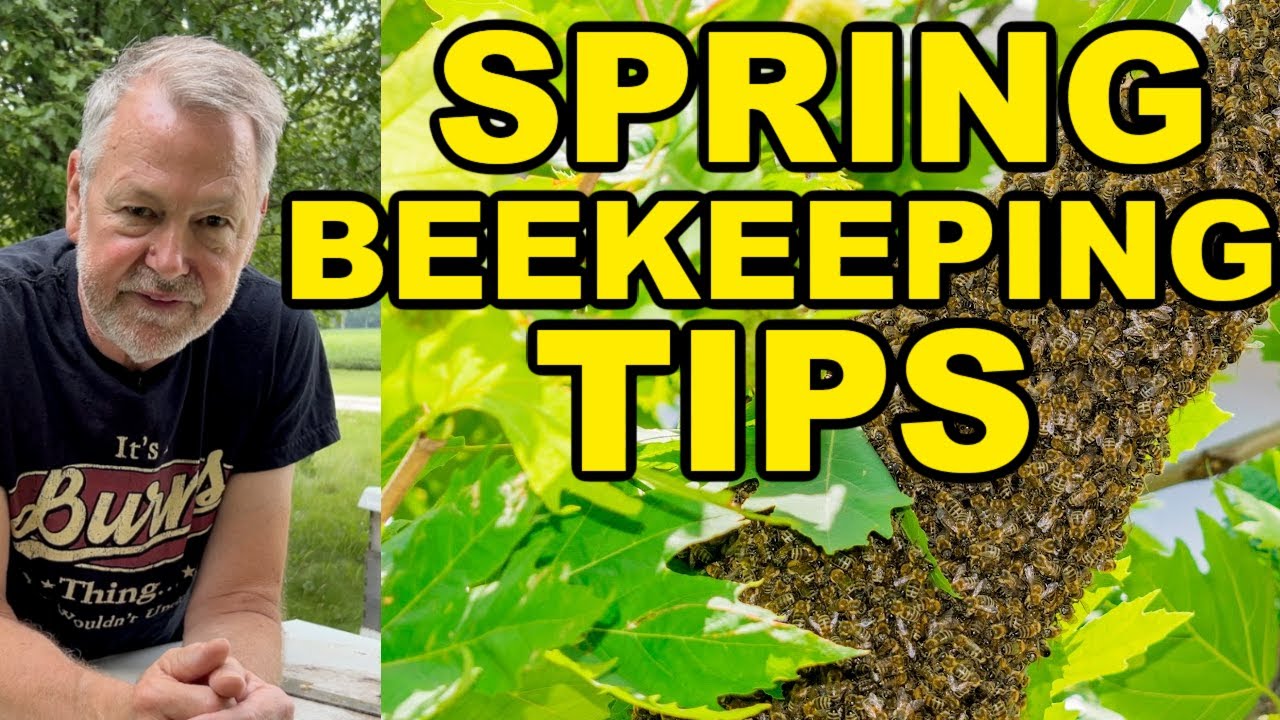 Beekeeping Tips For SPRING 🐝 🌺