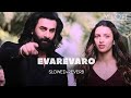 EVAREVARO Slowed Reverb Animal Ranbir Kapoor Tripti Dimri Sandeep Reddy Vanga