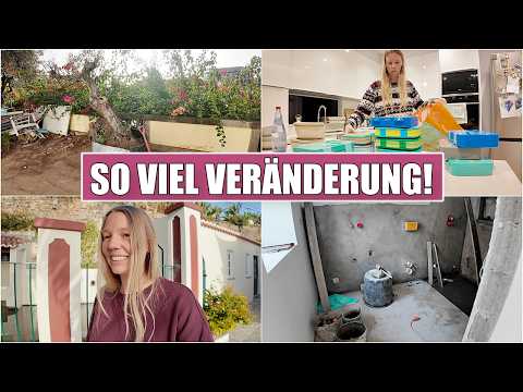 Wir haben es geschafft! 🥳 Schulwechsel & Küche bestellt!