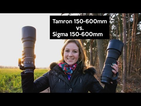 Tamron 150-600mm VS. Sigma 150-600mm | Superteleobjektive im Praxistest
