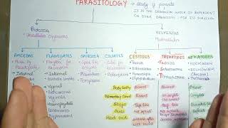 parasitology basics | Parasitology introduction #microbiology