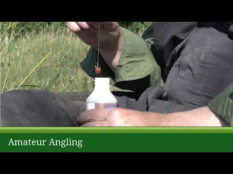 Tutti Frutti bait for summer Tench fishing