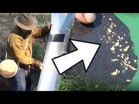 HOW TO FIND GOLD | Sluice Box -  ask Jeff Williams Video