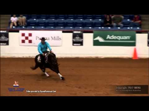 Andrea Fappani - 2012 NRHA Cowtown Classic - Open Pre Futurity