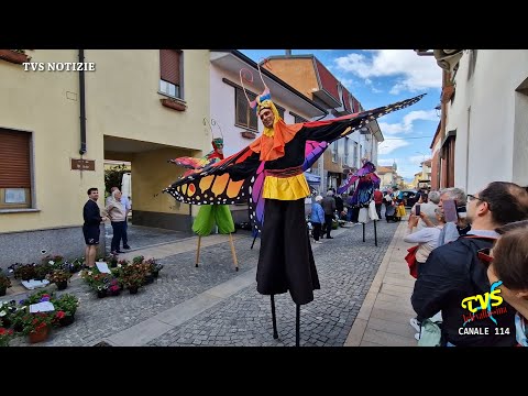 LAZZATE - MERCATINO DI PRIMAVERA 2023