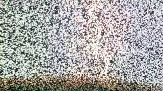 The Darling Buds(Jamie Campbell) - Cities Alive Official