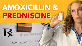 Amoxicillin and Prednisone: How These Medications Work Together in Treatment