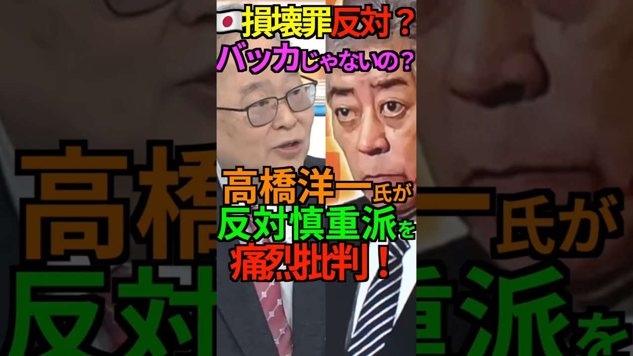 【日本人なら当前】🇯🇵損壊罪反対？バッカじゃないの？高橋洋一氏が反対慎重派を痛烈批判！ #高橋洋一  #高市早苗 #岩屋毅 #国旗損壊罪#Shorts #ショート