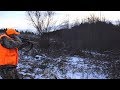 Deer Hunting And Deer Drives Last Day Of Pa Gun Season 2018 Bucks Misses Filled Tags
