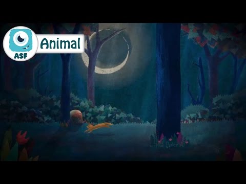 2d animation short - Animal | Animated Short Film
