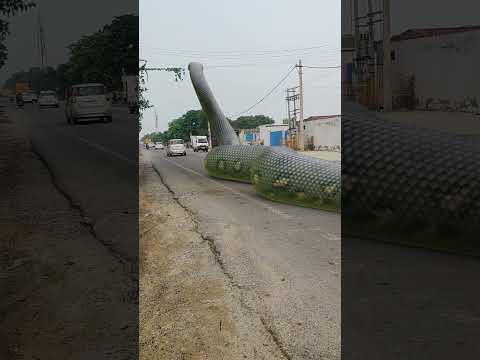 Big Anaconda Snake on Video 2 🐍🚗 #snake #Shorts