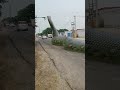Big Anaconda Snake On Video 2 Snake Shorts